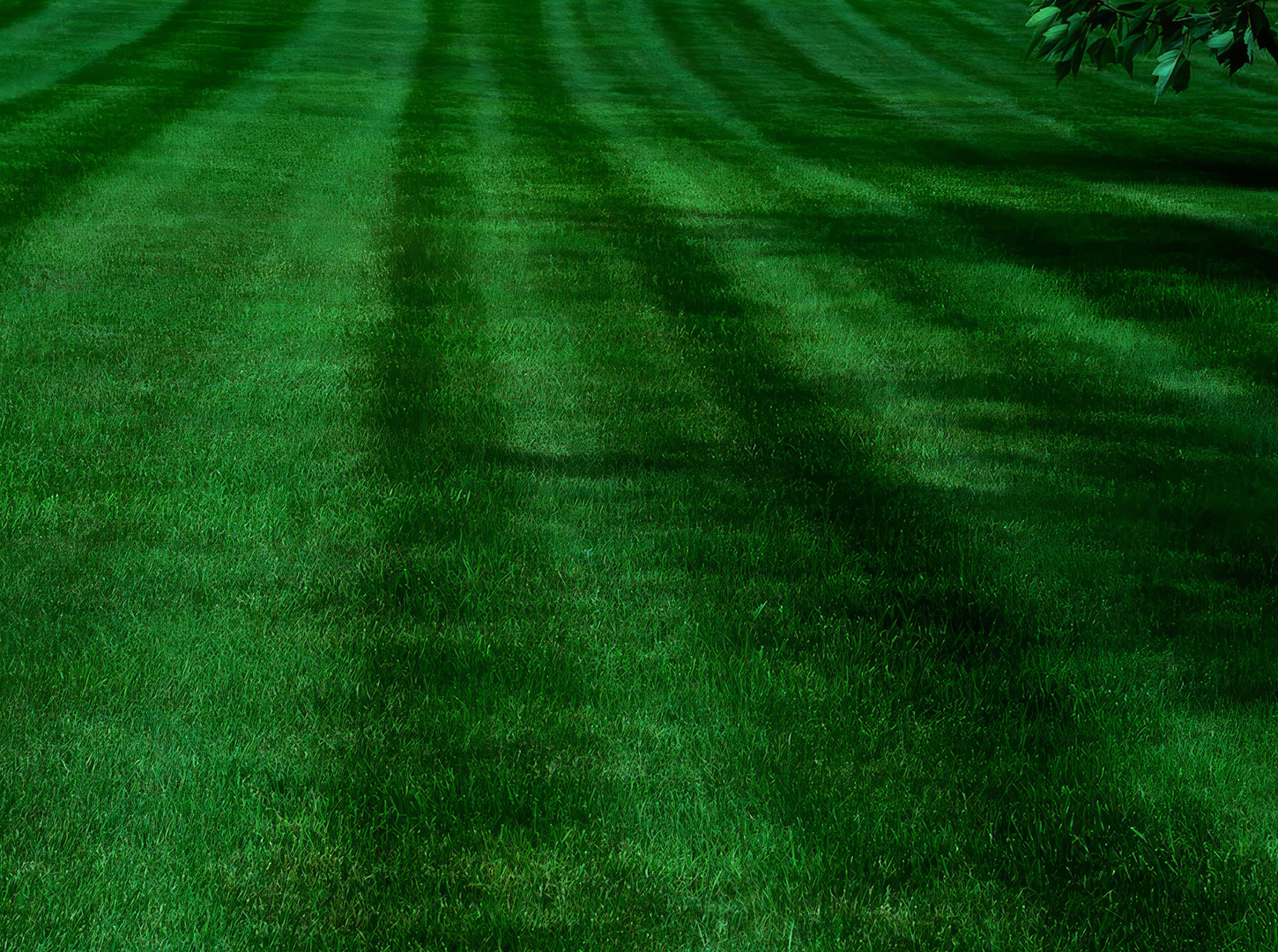lawn fertilizer company