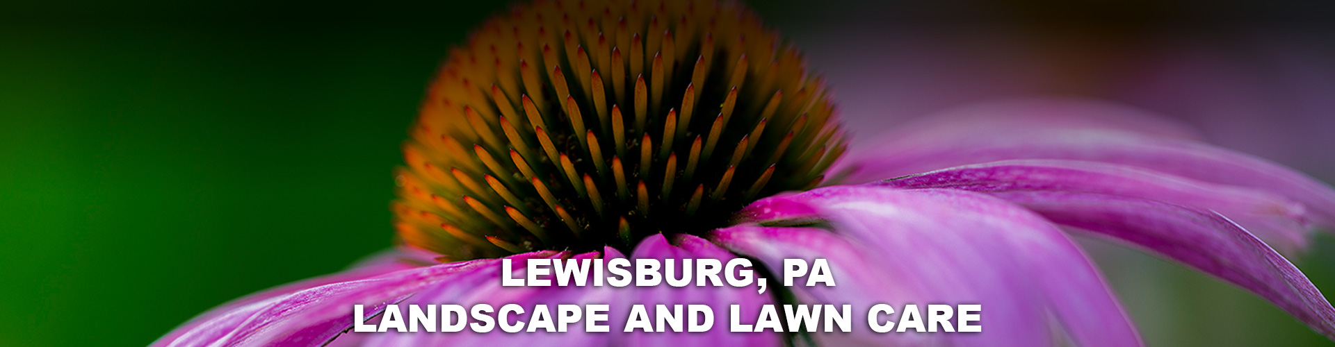 landscapers in lewisburg pa